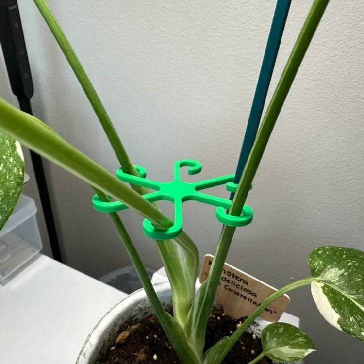 نگهدارنده شاخه گیاه
