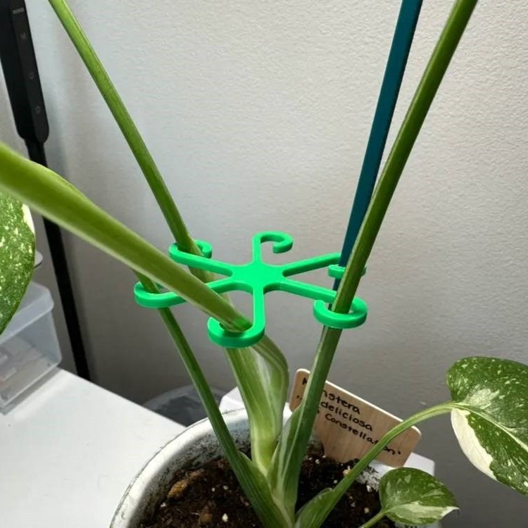 نگهدارنده شاخه گیاه